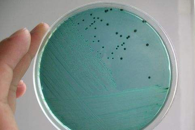 微生物污染的测试、法规等包括哪些产品